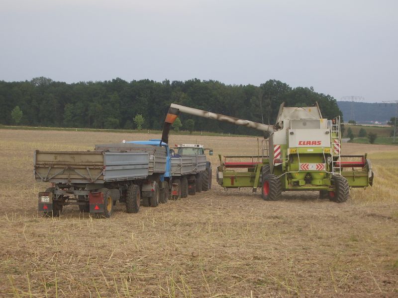 bilder/Fabian/22_26_7_2006/Claas Lexion 480 12.jpg